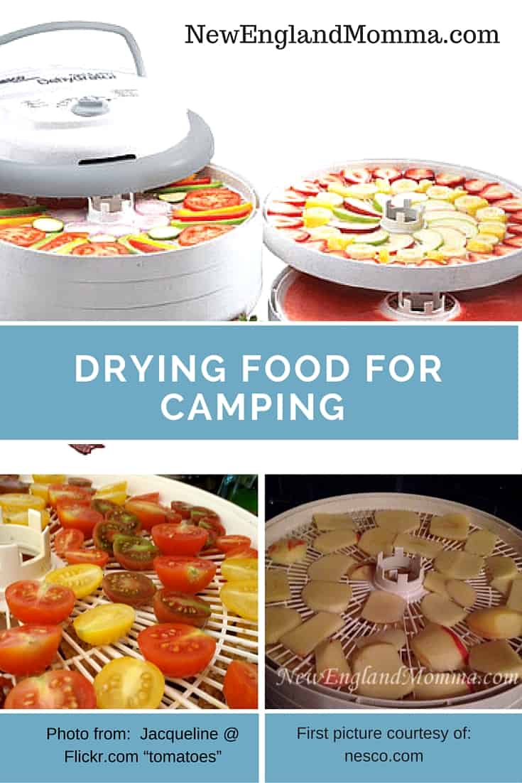 Drying food for camping is a great way to save space as well as make a healthy treat for hiking or camping! #HowTo #DryFood #BeefJerkey  #driedfood #HikingSnacks 