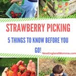 4 pictures of kids strawberry picking outdoors