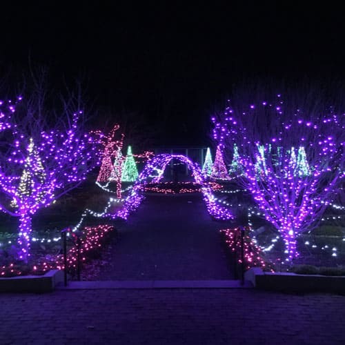 Botanical Gardens Christmas Lights Massachusetts Fasci Garden