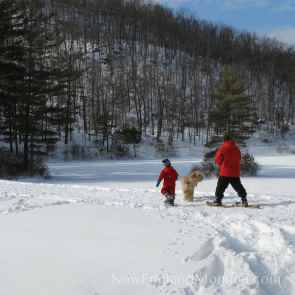Dad, a young boy and a dog snowshoeing together outdoors in New England. 
