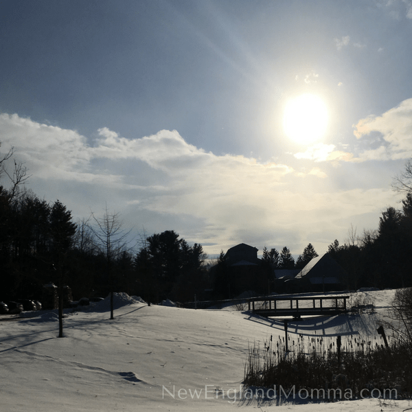 A beautiful field covered with snow on a sunny day, perfect for snowshoeing 