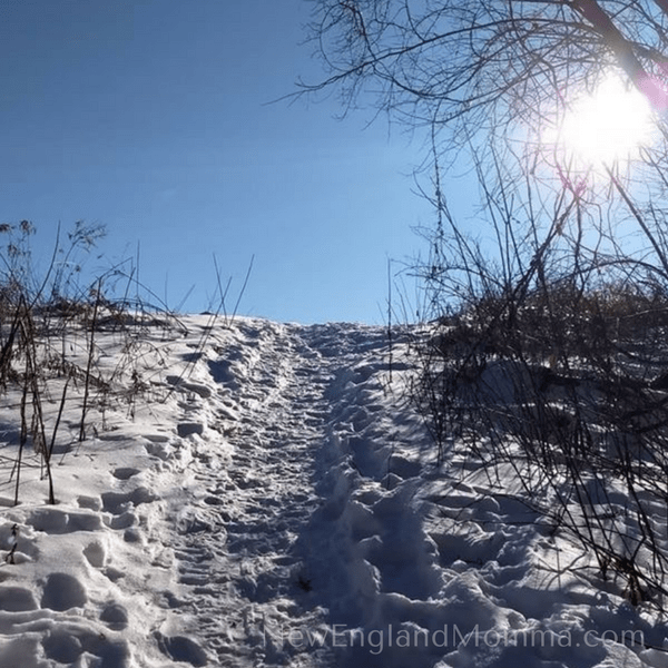 A worn hiking trail covered with snow and footprints