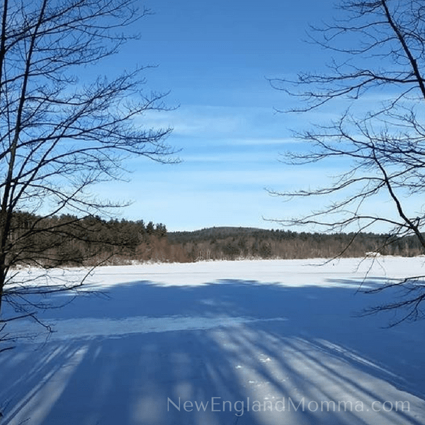 A pond with snow surrounded by trees 