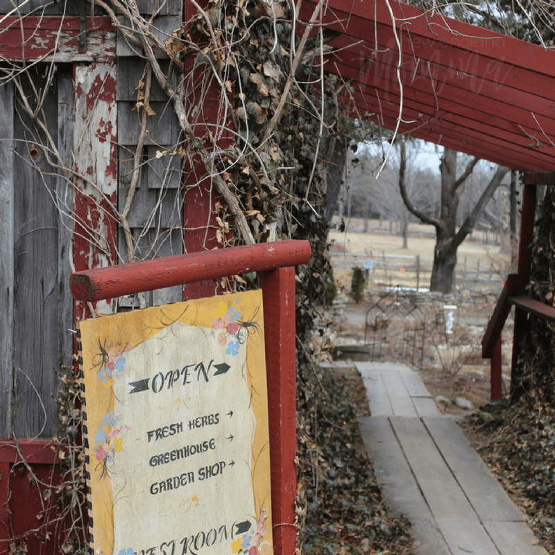 A unique lunch spot with seasonally fresh menus which change once a month is featured here at Pickity Place in Mason, NH. Call for reservations and enjoy an afternoon of great food in a pleasant atmosphere. 