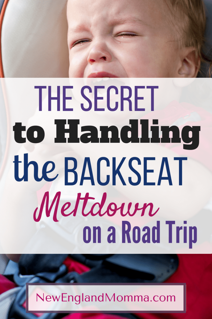 Going on a family road trip is awesome! However, if you have kids we all know the meltdowns that can occur. Here is what you need to know to stop the backseat meltdown on your next road trip!