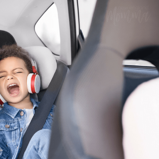 Going on a family road trip is awesome! However, if you have kids we all know the meltdowns that can occur. Here is what you need to know to stop the backseat meltdown on your next road trip!