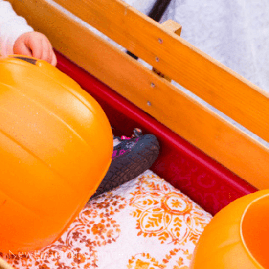 a small toddler in a wagon with a halloween pail 