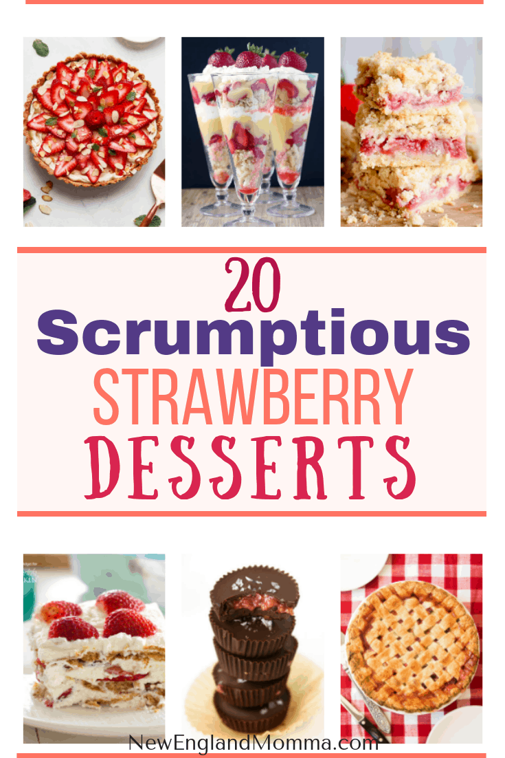 Strawberries can be eaten off the vine, dipped in chocolate, baked in cakes or pies, layered in a parfait, dipped in sugar, sliced up for shortcake. There are so many fun ideas! Here is a list of 20 scrumptious strawberry dessert ideas! #strawberry #strawberries #strawberrydesserts #summerrecipes