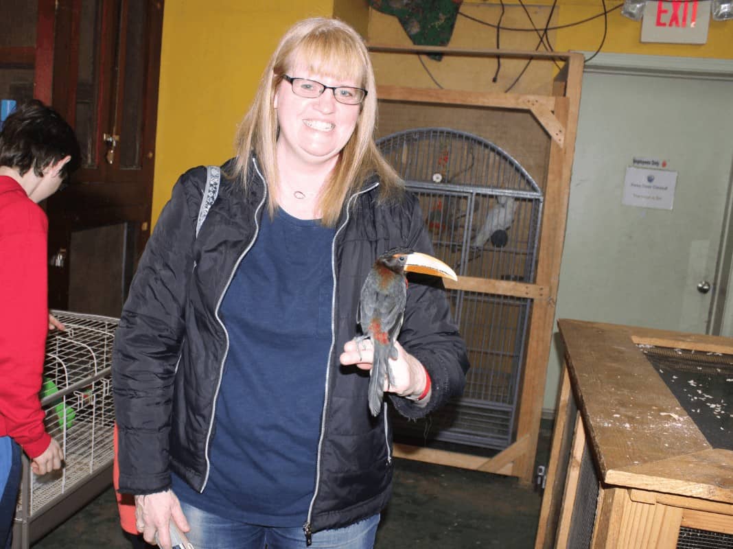 A woman holding a toucan on her fingers while getting a tour of Animal Adventures in Bolton, MA