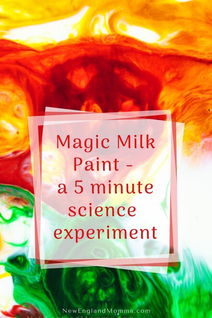 5 minute magic milk paint science experiment for kids New England Momma