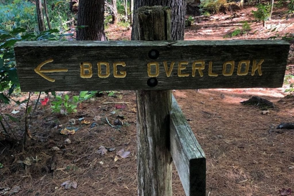 wooden sign with the words bog overlook and a pointing arrow