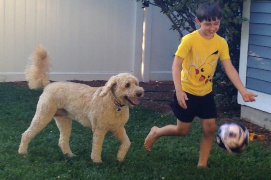 young boy playing soccer with his dog in the backyard 