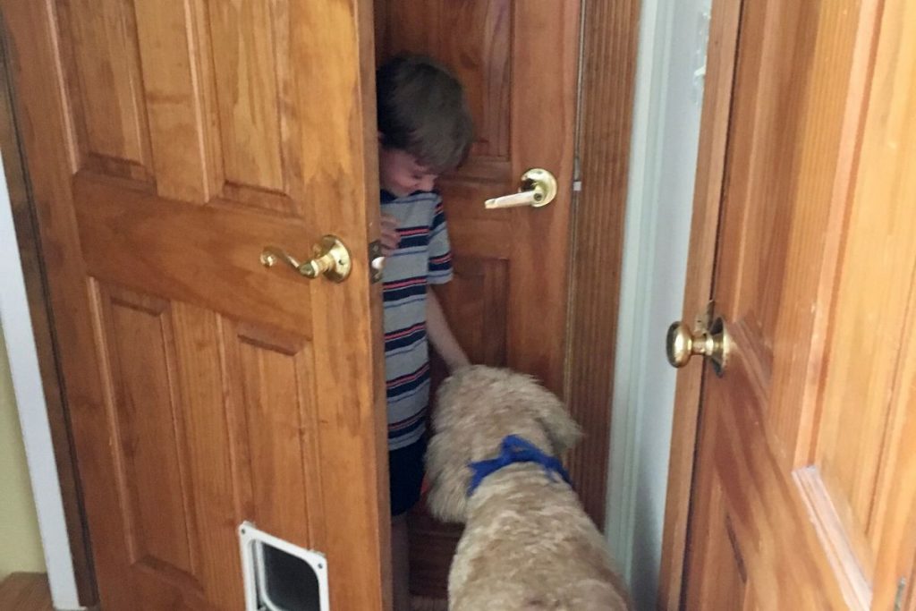 A boy hiding behind a wooden door and a Goldendoodle dog finding him. 