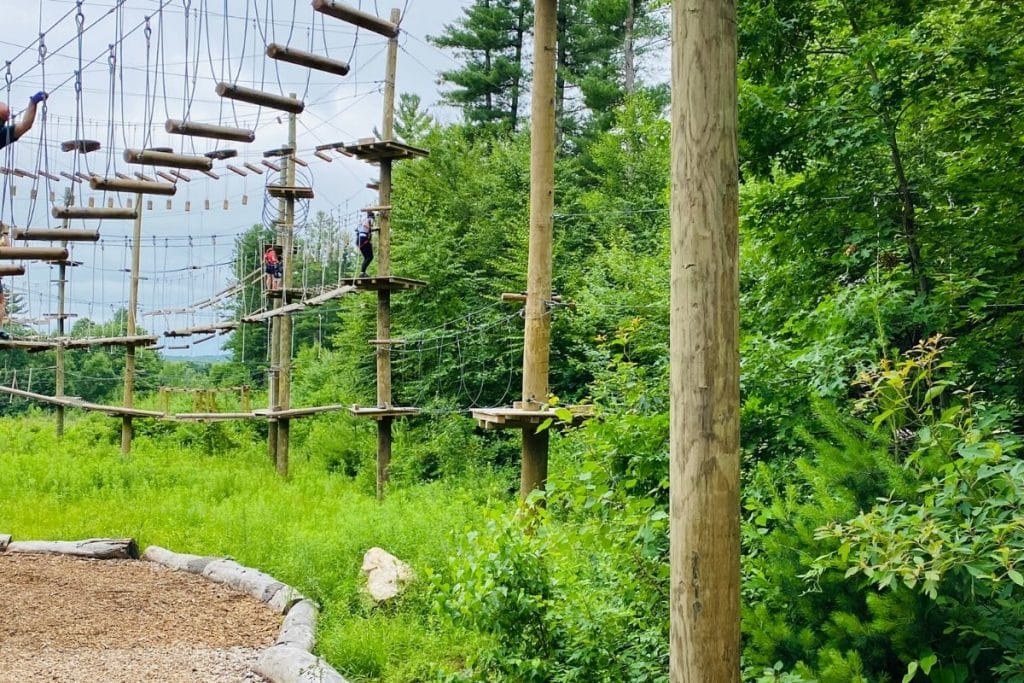 Tall wooden poles with various rope courses surrounded by trees 