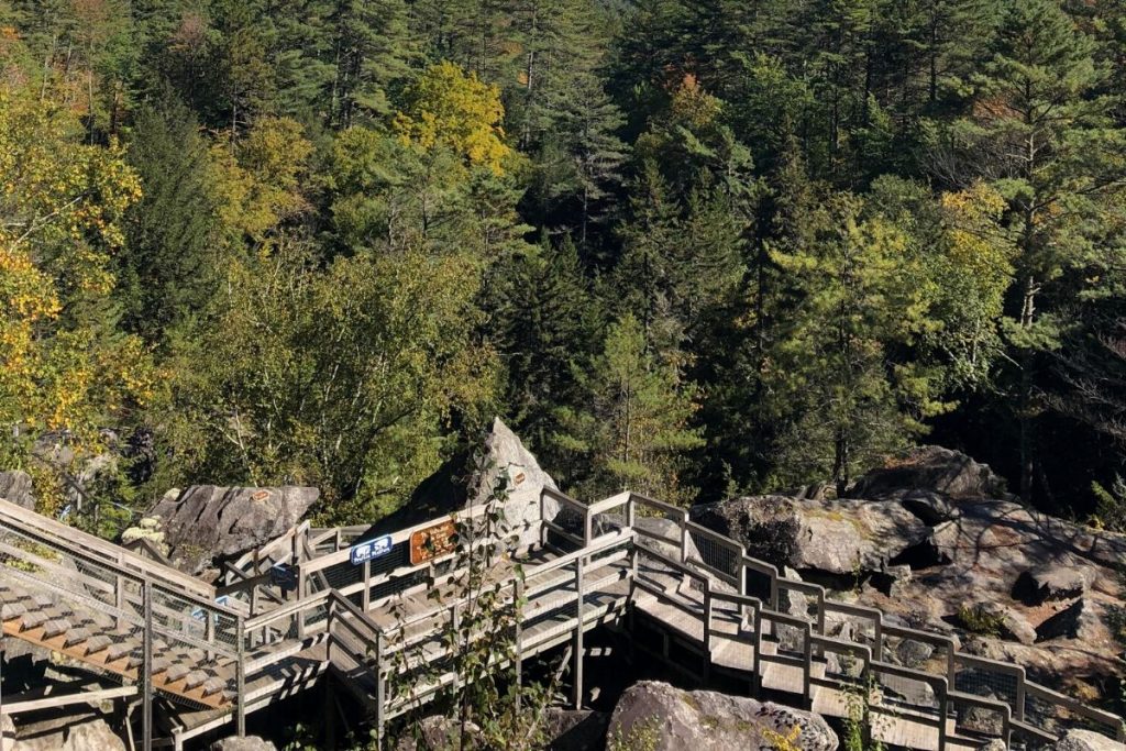 wooden stairs built lining rock caves with trees in the background 