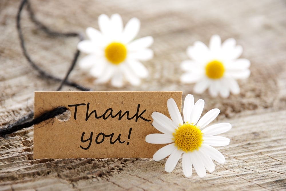 white and yellow Daisys with a Thank you card