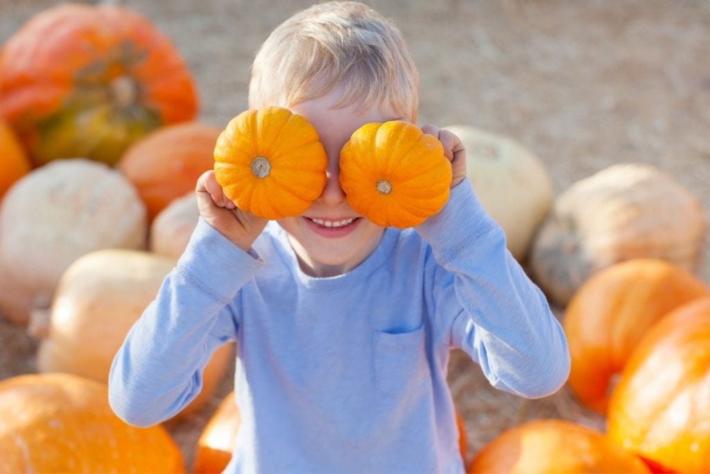 Young boy holding up to small orange pumpkins in front of his eyes while standing in a pumpkin patch near you. 