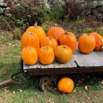 an old wooden cart with big orange pumpkins on it