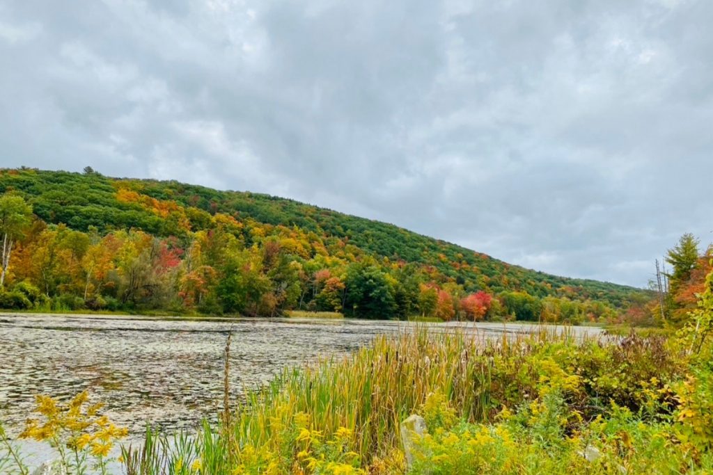 Rolling hills of the Berkshires with a pond and beautiful autumn colors in the trees 