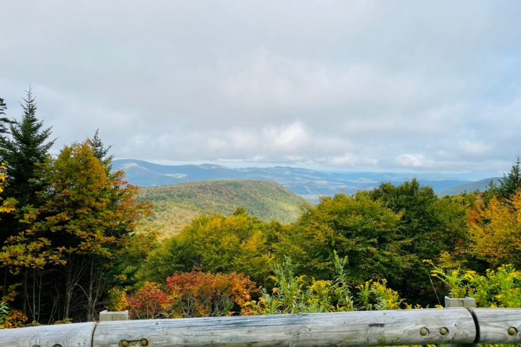 A Mountain View from an outlook on Mt Greylock with foliage trees and mountains. 