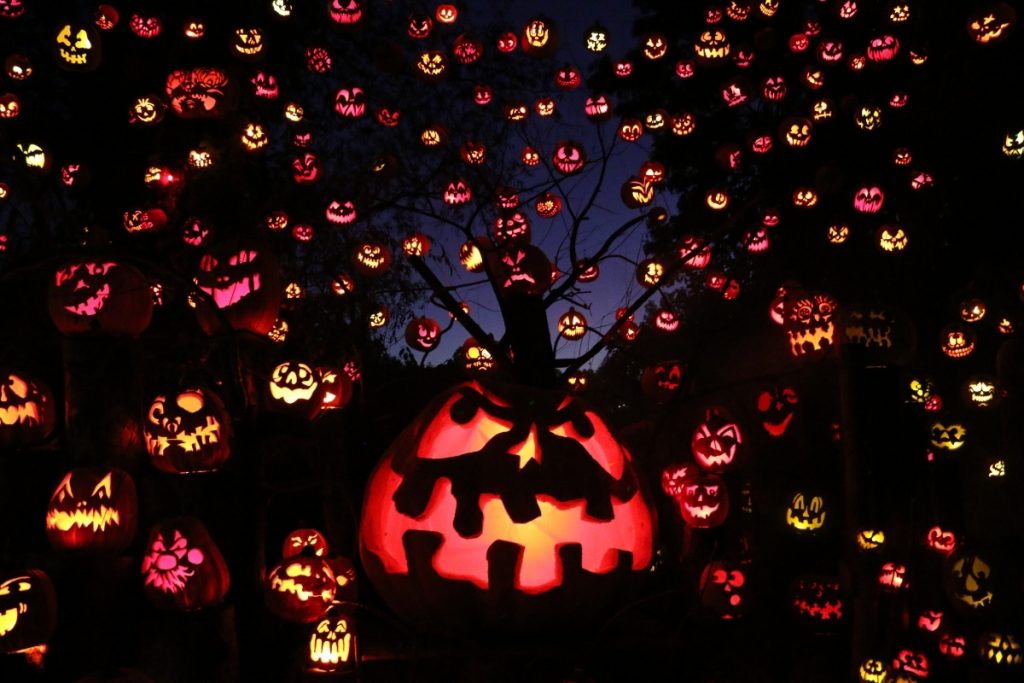 At night, a ton of spooky lit up jack-o-lantern faces on display 